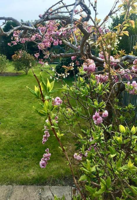 Kelvinside, Seahouses, 2 Minute Walk Into Village Esterno foto