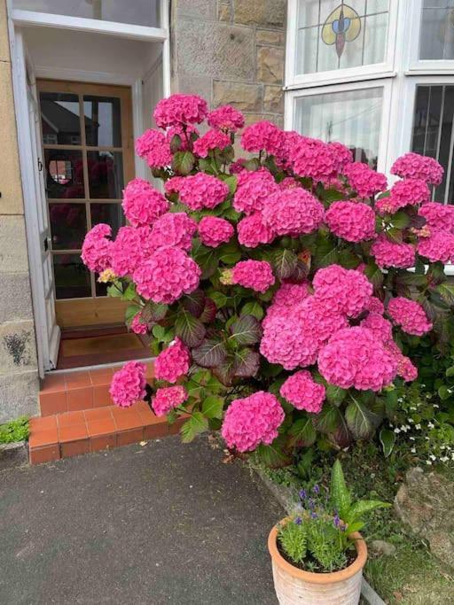 Kelvinside, Seahouses, 2 Minute Walk Into Village Esterno foto