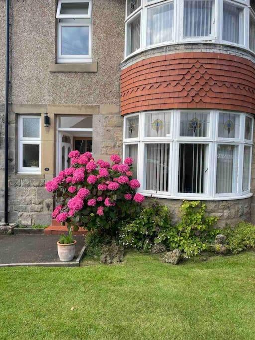 Kelvinside, Seahouses, 2 Minute Walk Into Village Esterno foto