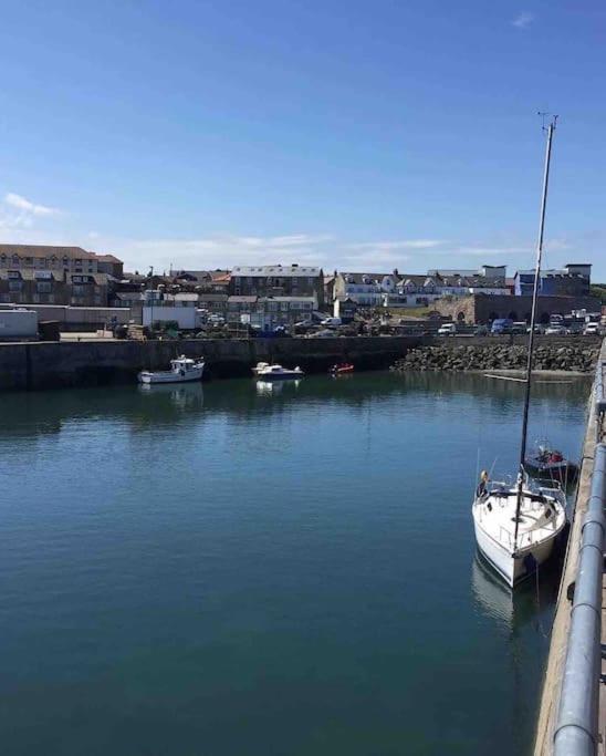 Kelvinside, Seahouses, 2 Minute Walk Into Village Esterno foto